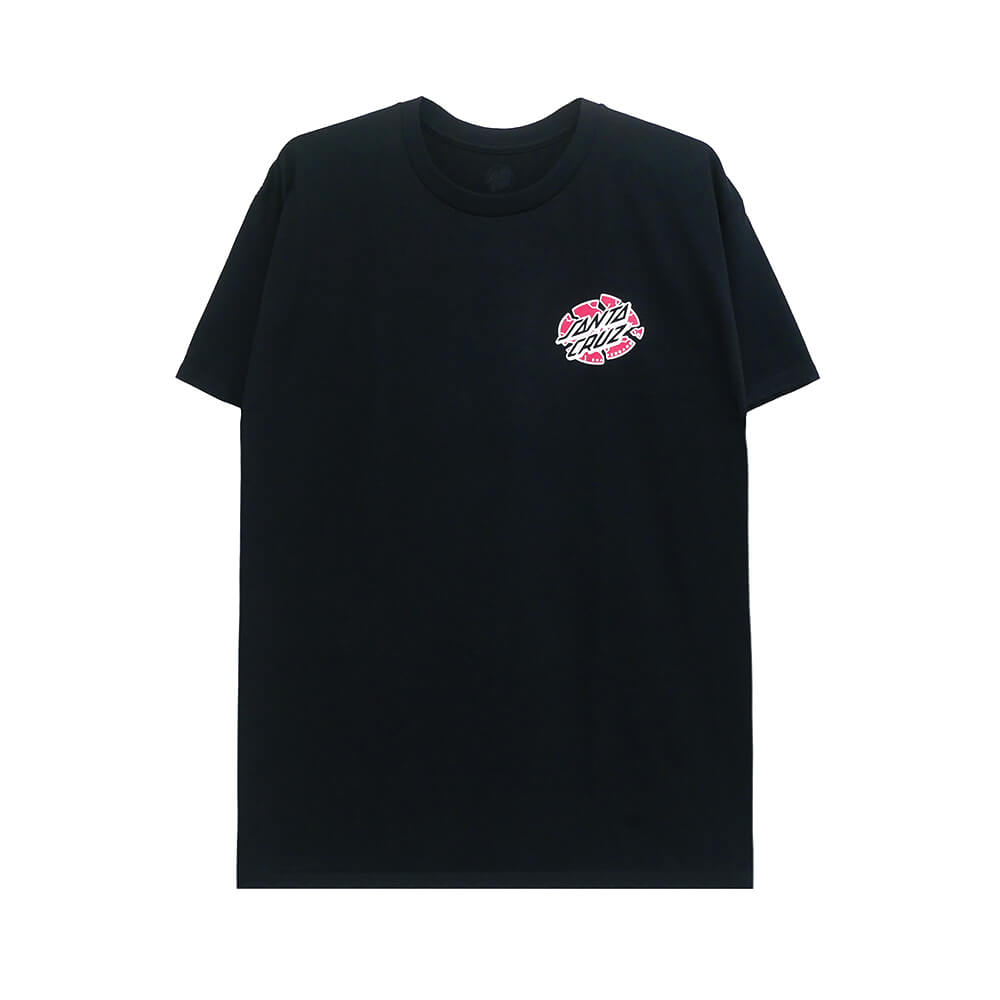 SANTA CRUZ T-SHIRT サンタクルーズ  Tシャツ  GRABKE EXPLODING DOT  BLACK スケートボード スケボー 1