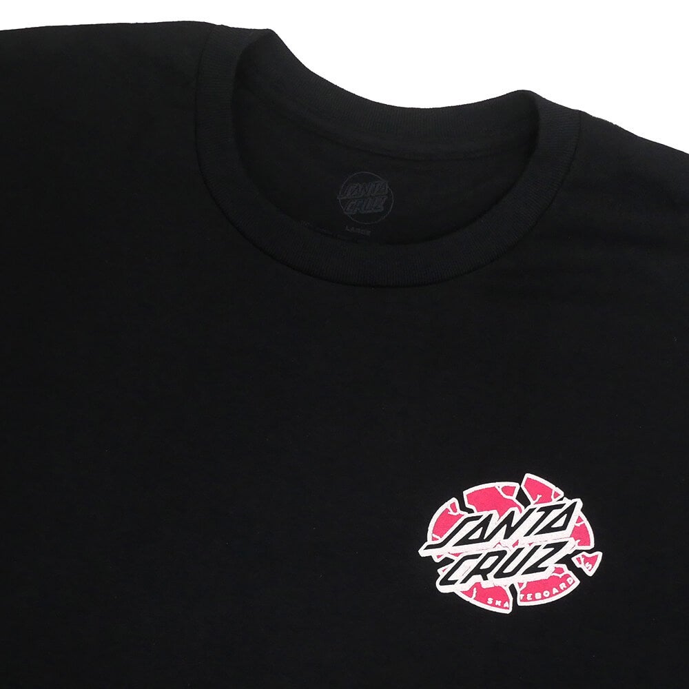 SANTA CRUZ T-SHIRT サンタクルーズ  Tシャツ  GRABKE EXPLODING DOT  BLACK スケートボード スケボー 2