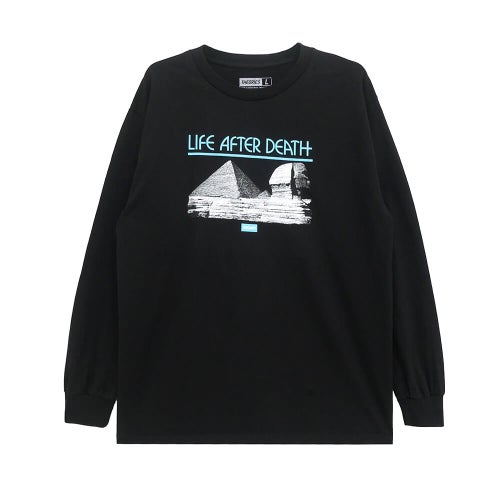 THEORIES LONG SLEEVE セオリーズ ロングスリーブTシャツ LIFE AFTER DEATH BLACK スケートボード スケボー