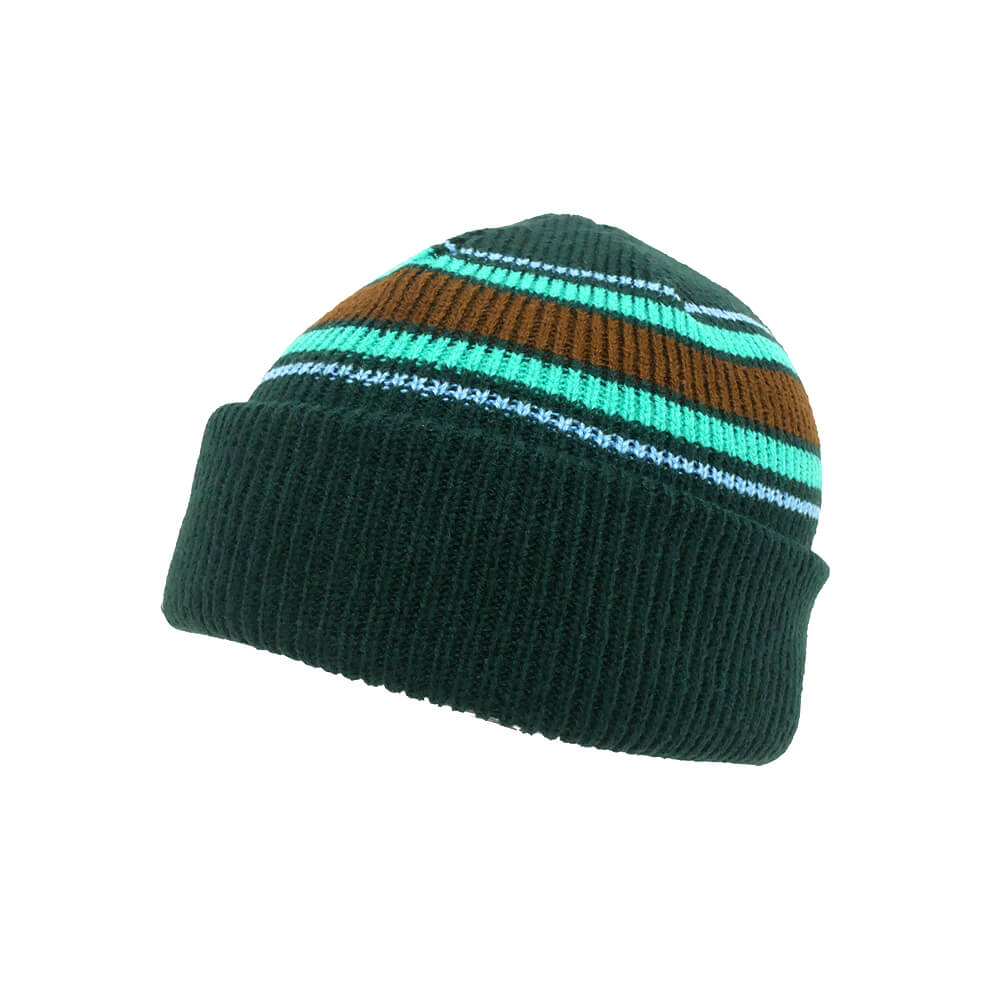 THEORIES KNITCAP セオリーズ ニットキャップ STAMP STRIPE BEANIE PALM スケートボード スケボー 1